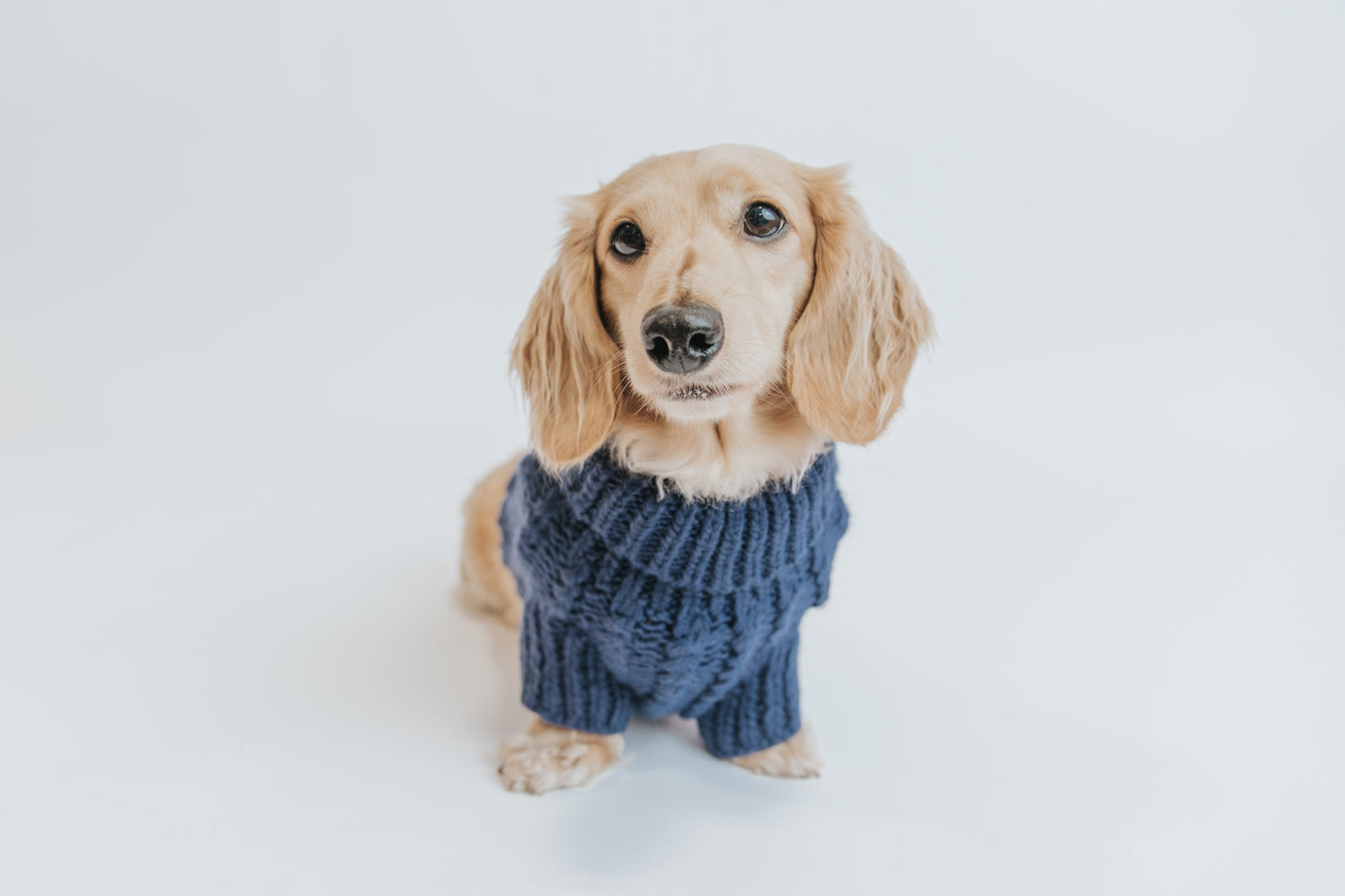 Pet Cable Knit Sweater - Navy