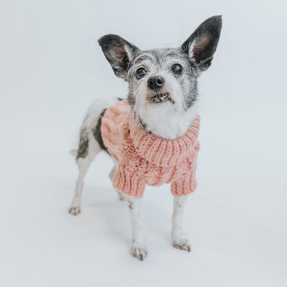 Pet Cable Knit Sweater - Pink