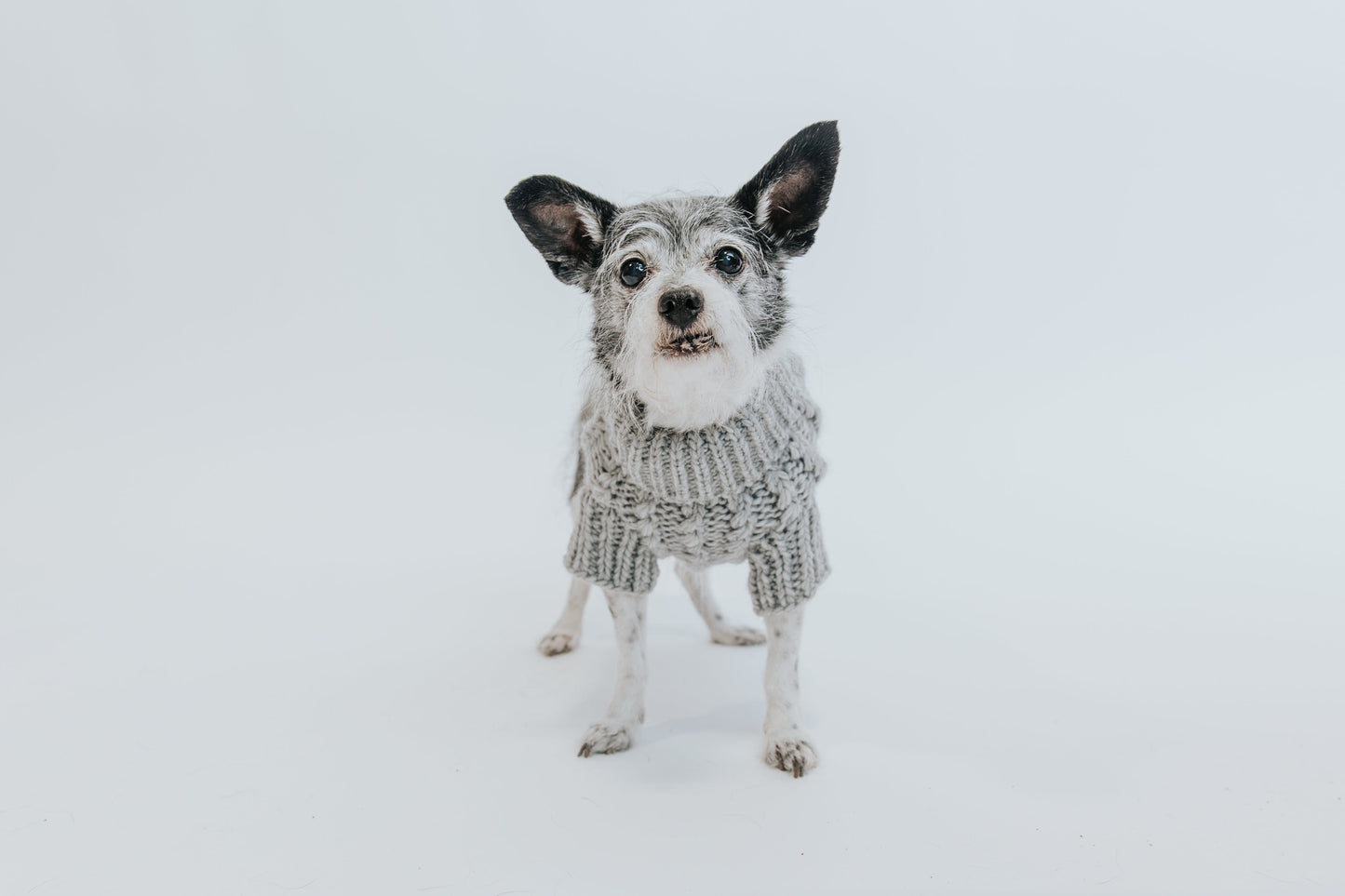 Pet Cable Knit Sweater - Gray