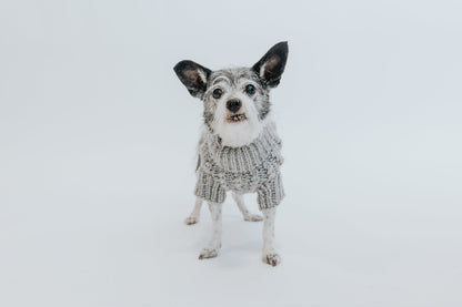 Pet Cable Knit Sweater - Gray
