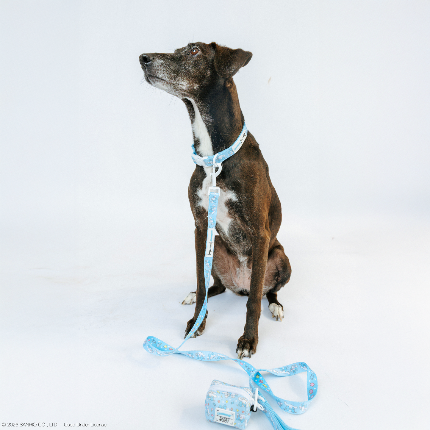 Dog Waste Bag Holder - Cinnamoroll™