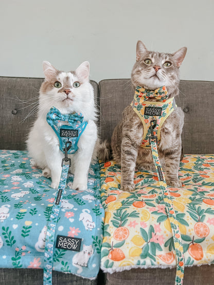 Cat Bundle - Zest Friends