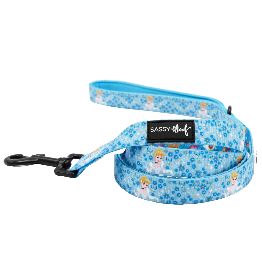 Harness Three Piece Bundle - Disney's Cinderella