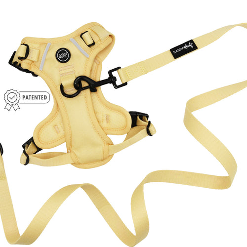 Dog Two Piece Bundle - Daffodil