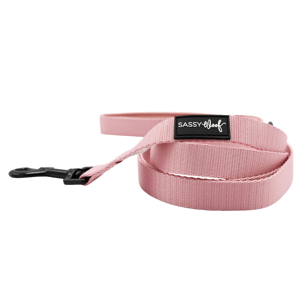 Dog Four Piece Bundle - Dusty Rose