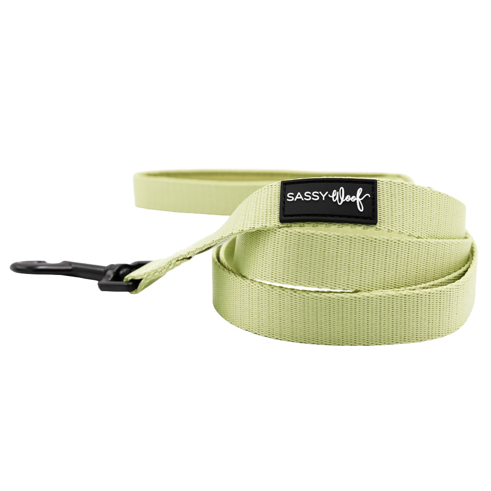Dog Three Piece Bundle - Matcha