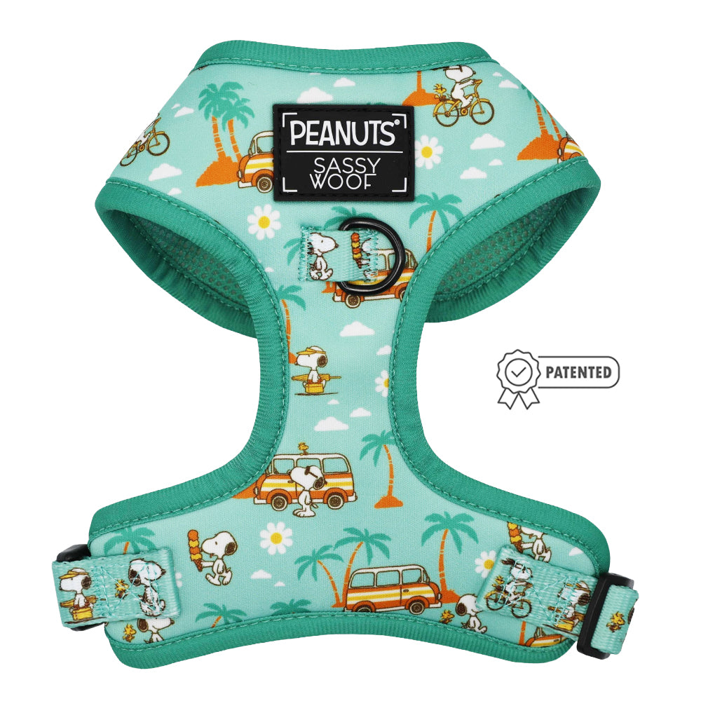 Dog Two Piece Bundle - Peanuts™ Road Tripping