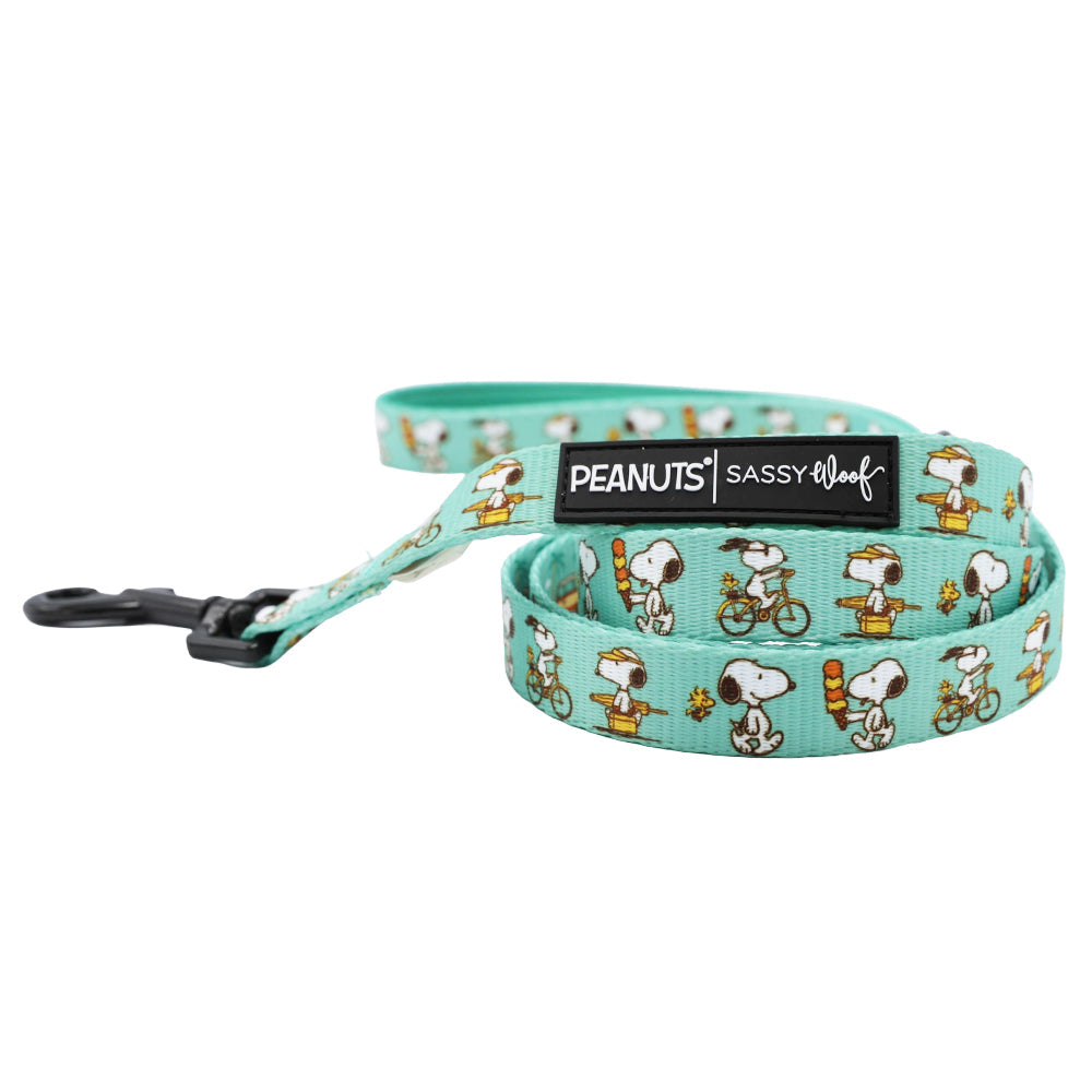 Dog Collar Three Piece Bundle - Peanuts™ Road Tripping