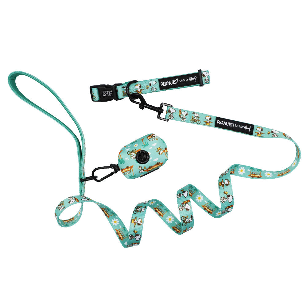 Dog Collar Three Piece Bundle - Peanuts™ Road Tripping