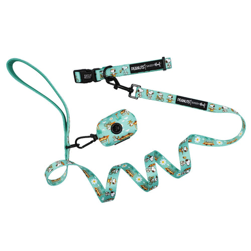 Dog Collar Three Piece Bundle - Peanuts™ Road Tripping