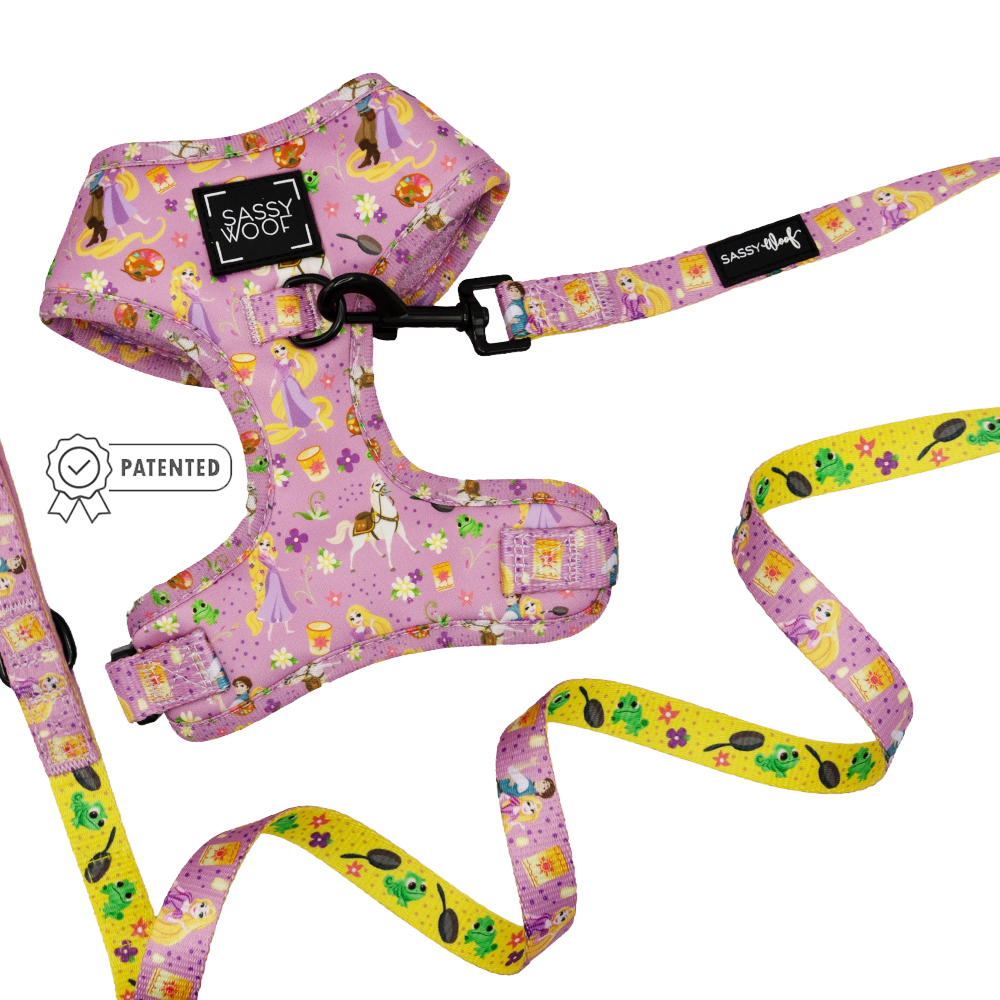 Dog Two Piece Bundle - Disney's Rapunzel