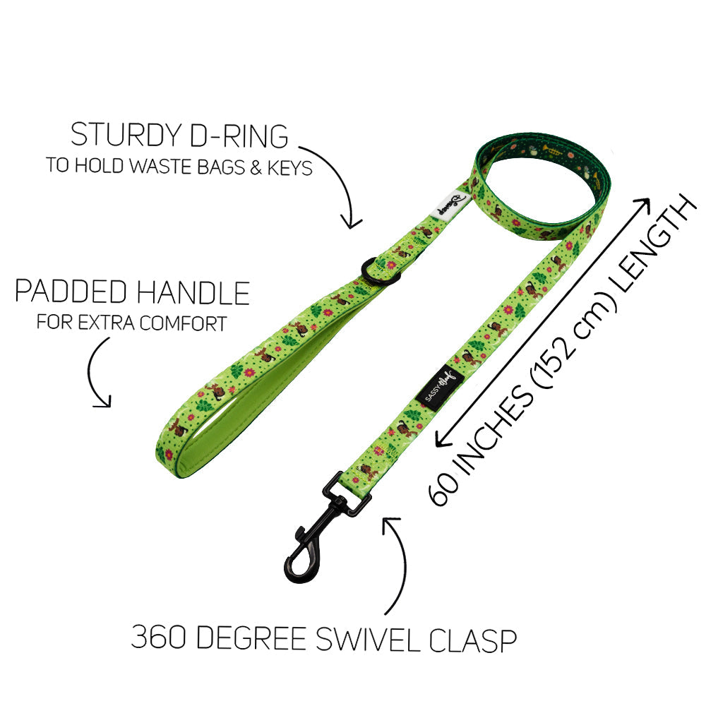 Dog Two Piece Bundle - Disney's Tiana