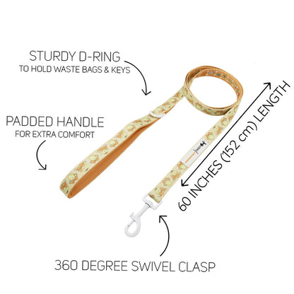 Dog Collar Three Piece Bundle - Pompompurin™