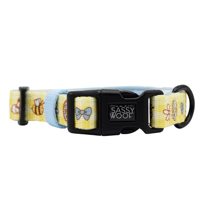 Dog Collar - Patch Perfect