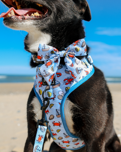 Dog Sailor Bow - Coastal Cuties