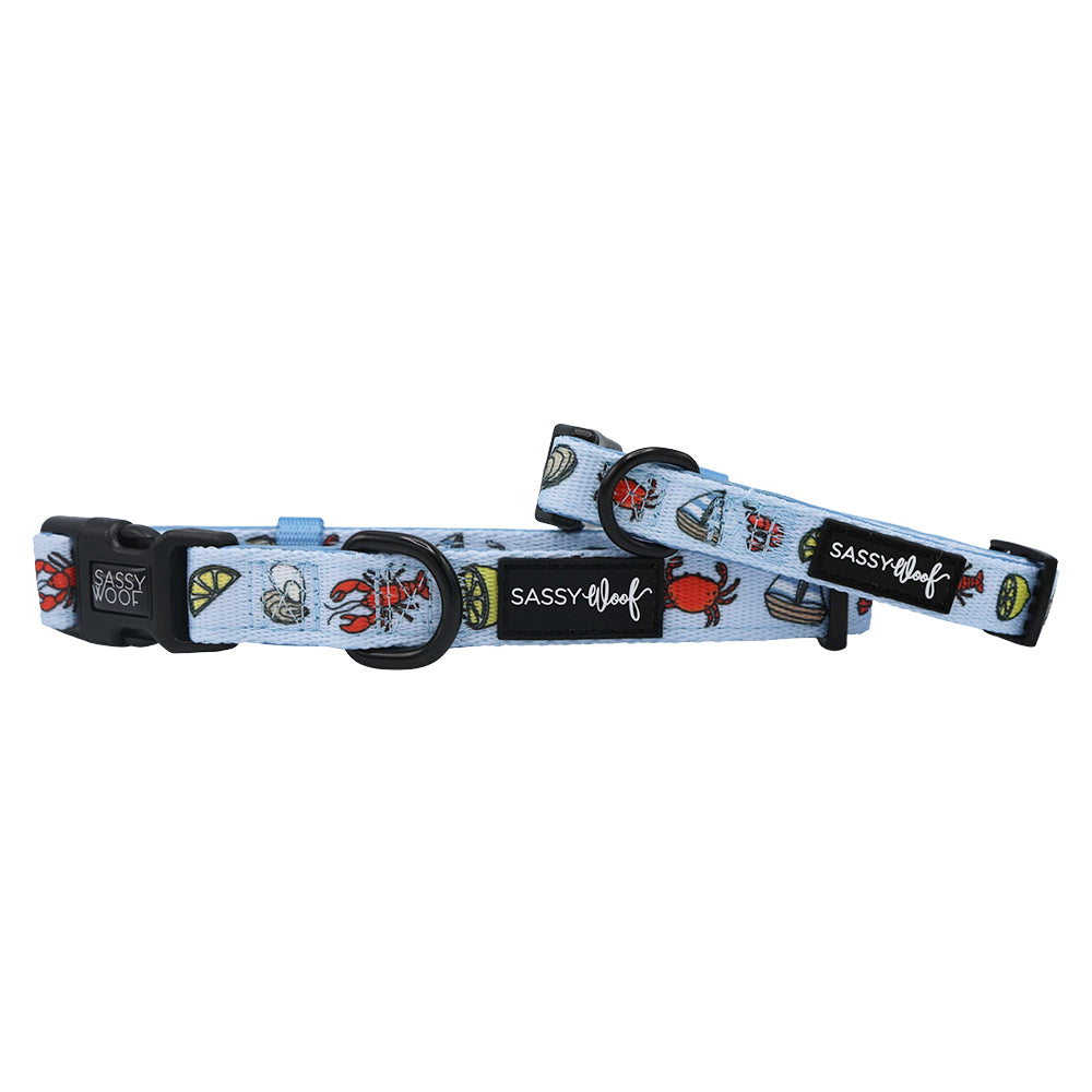 Dog Collar - Coastal Cuties