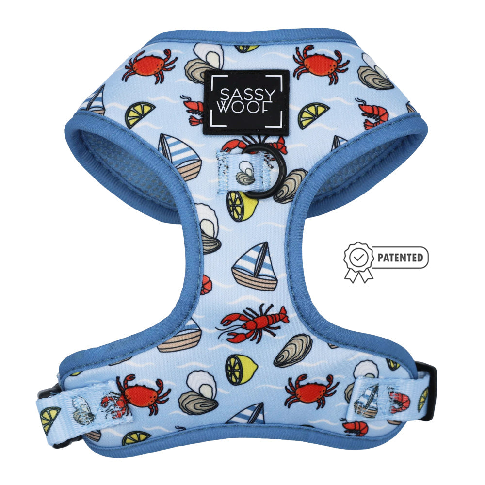 Dog Four Piece Bundle - Coastal Cuties