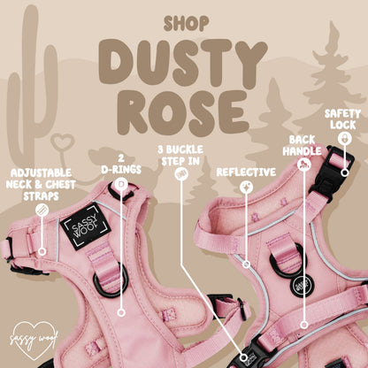Dog Four Piece Bundle - Dusty Rose