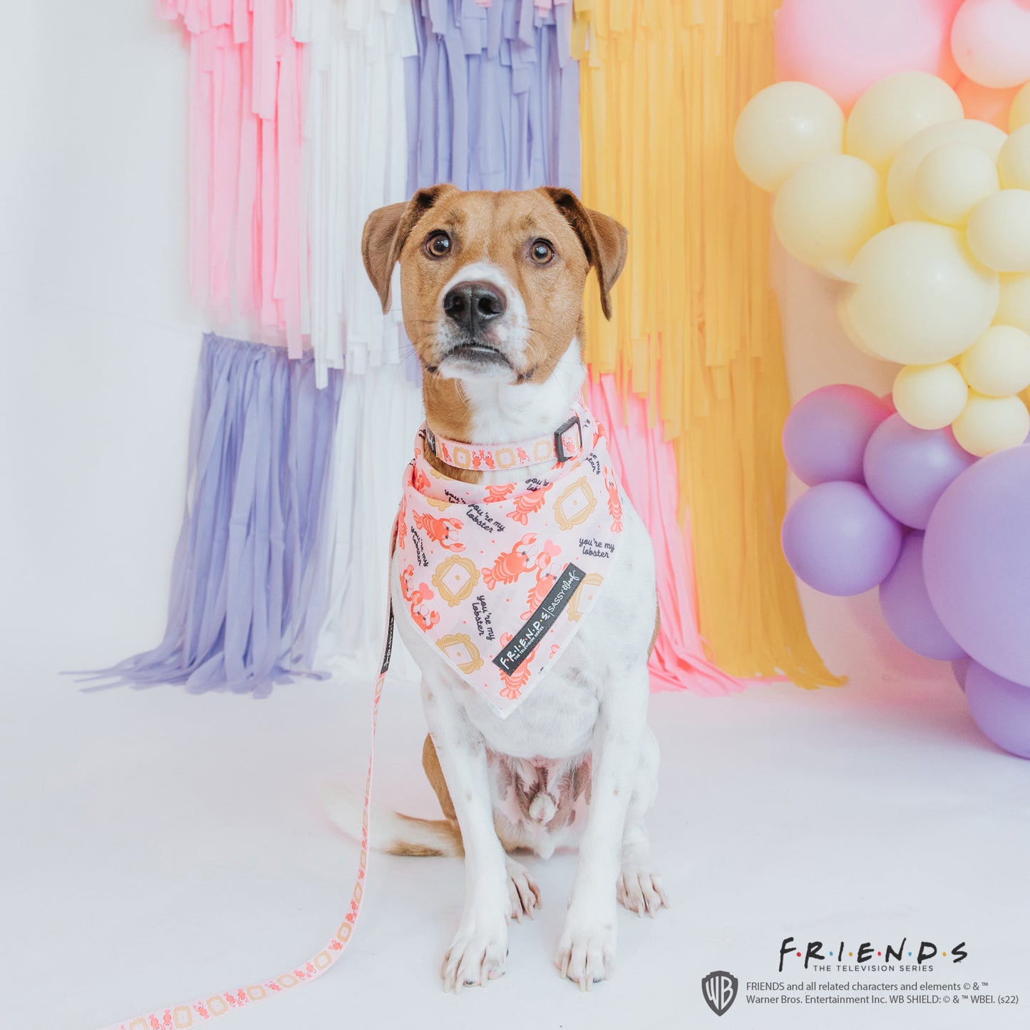 Dog Bandana - Friends™ (Lobster)