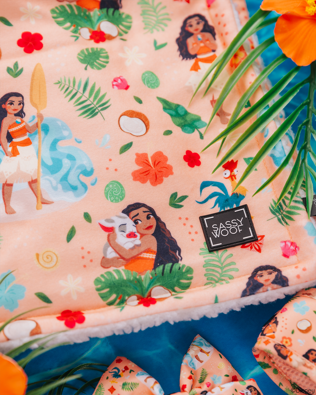 Pet Blanket - Disney's Moana
