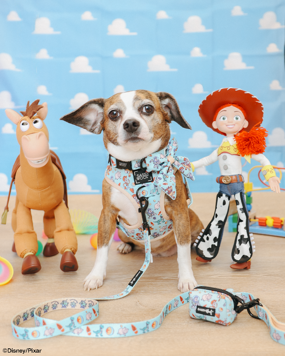 Dog Collar - Disney and Pixar's Toy Story