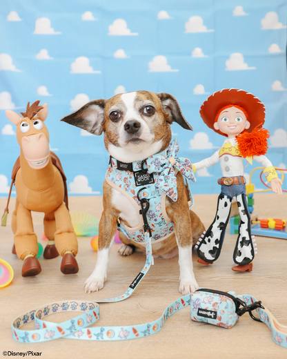 Dog Collar - Disney and Pixar's Toy Story