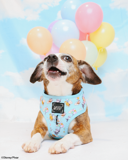 Dog Two Piece Bundle - Disney and Pixar's Up