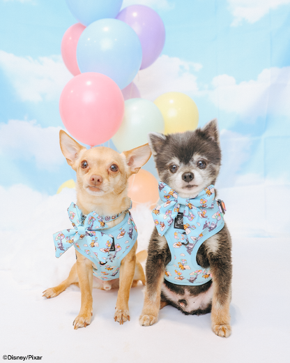 Dog Four Piece Bundle - Disney and Pixar's Up