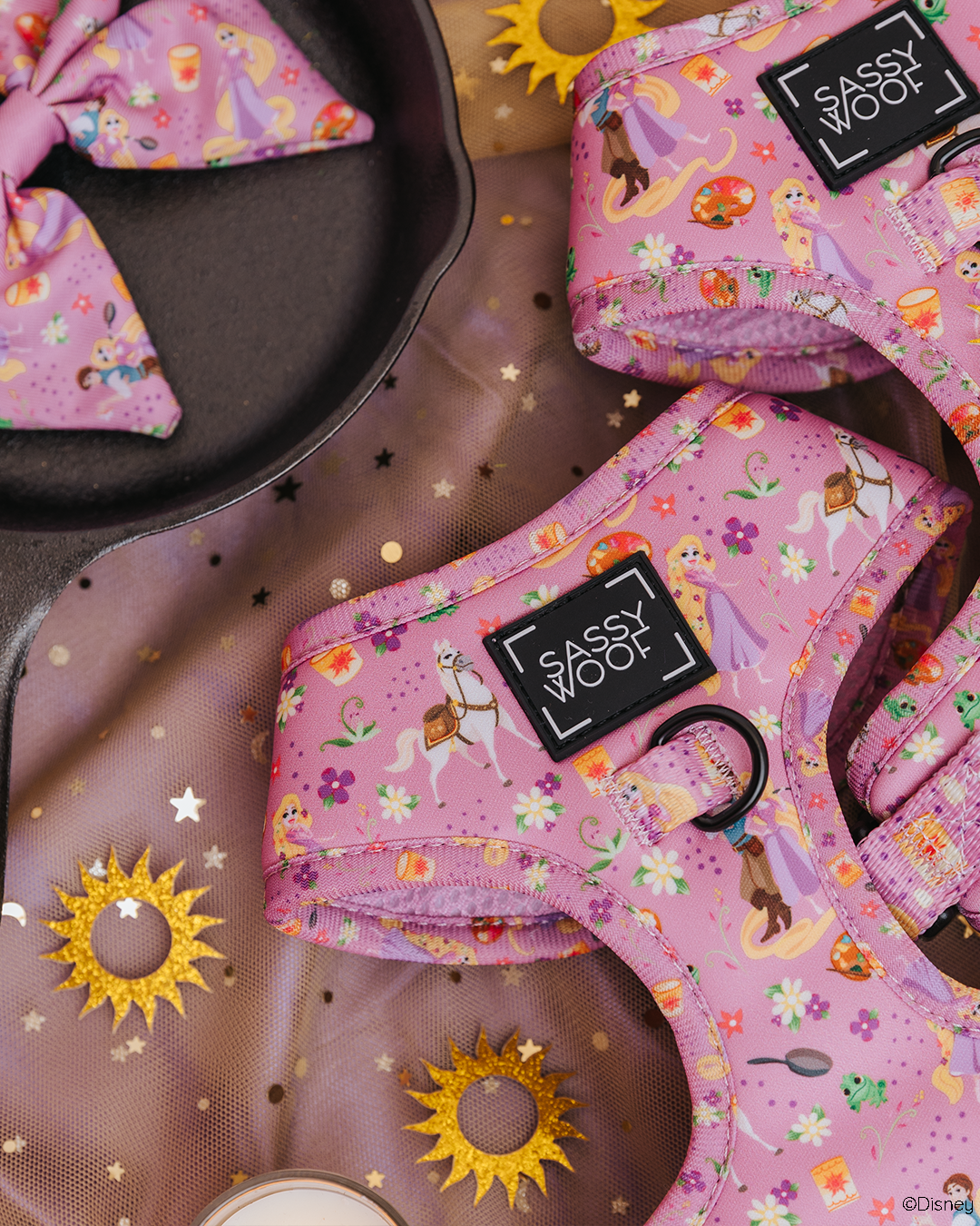 Dog Two Piece Bundle - Disney's Rapunzel