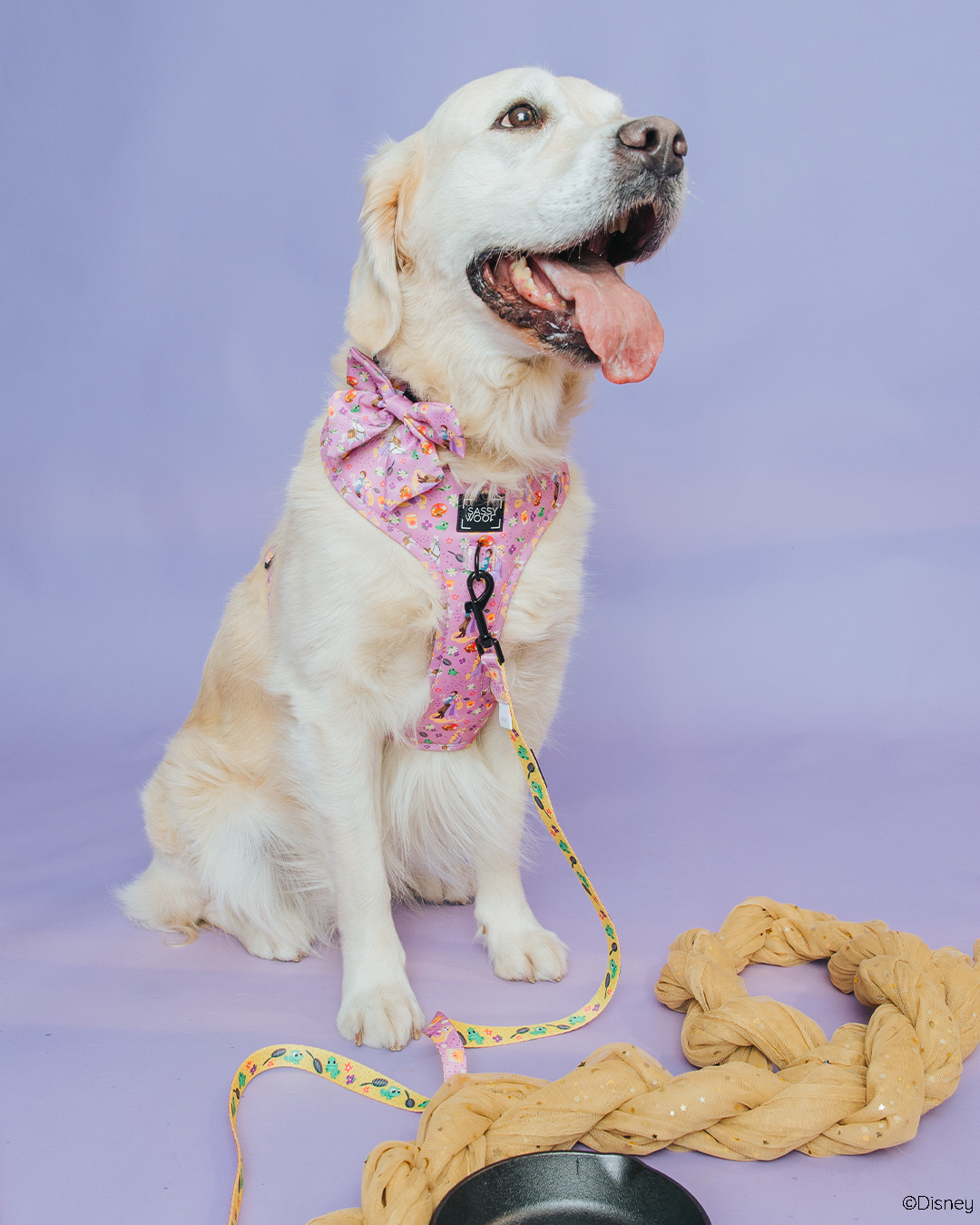 Dog Two Piece Bundle - Disney's Rapunzel
