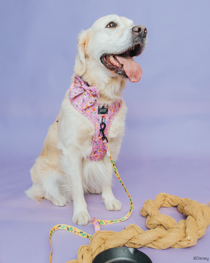 Dog Two Piece Bundle - Disney's Rapunzel