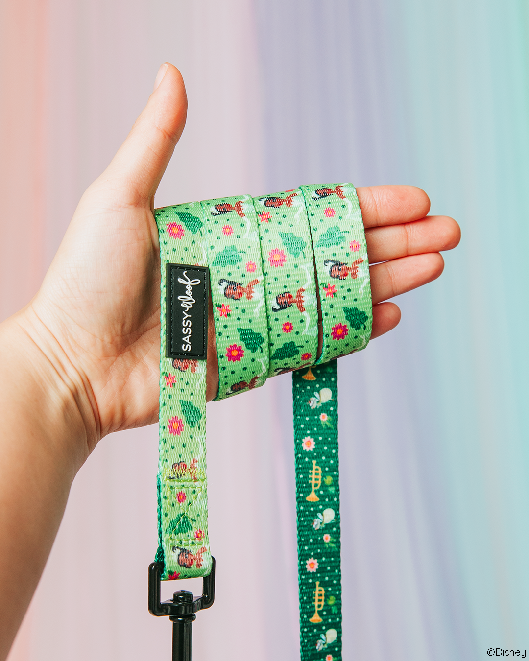 Dog Leash - Disney's Tiana