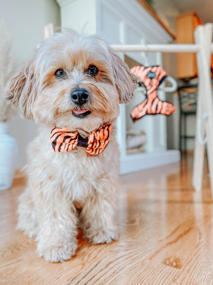 Dog Bowtie - Paw of the Tiger