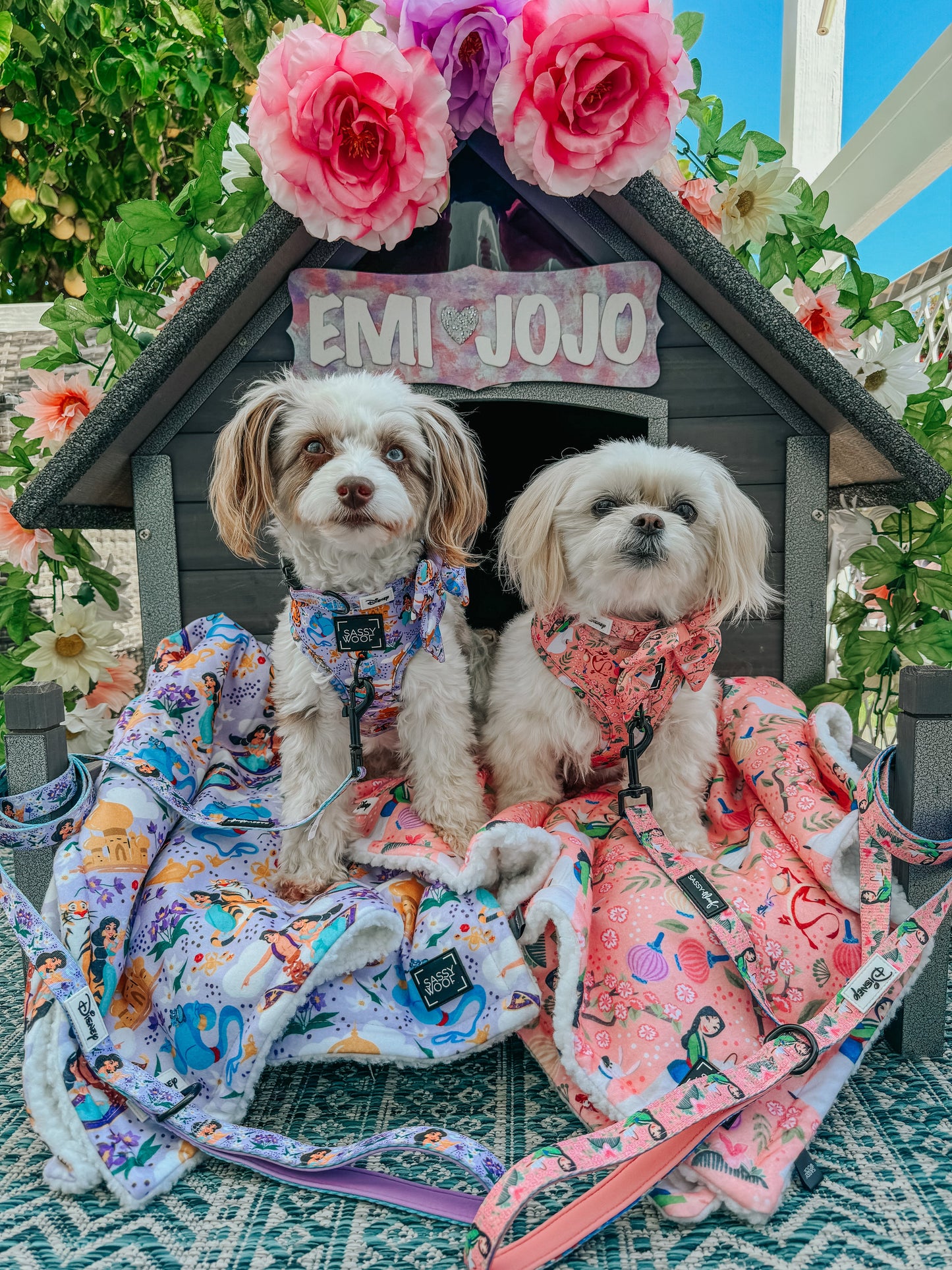 Pet Blanket - Disney's Jasmine