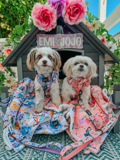 Harness Three Piece Bundle - Disney's Jasmine