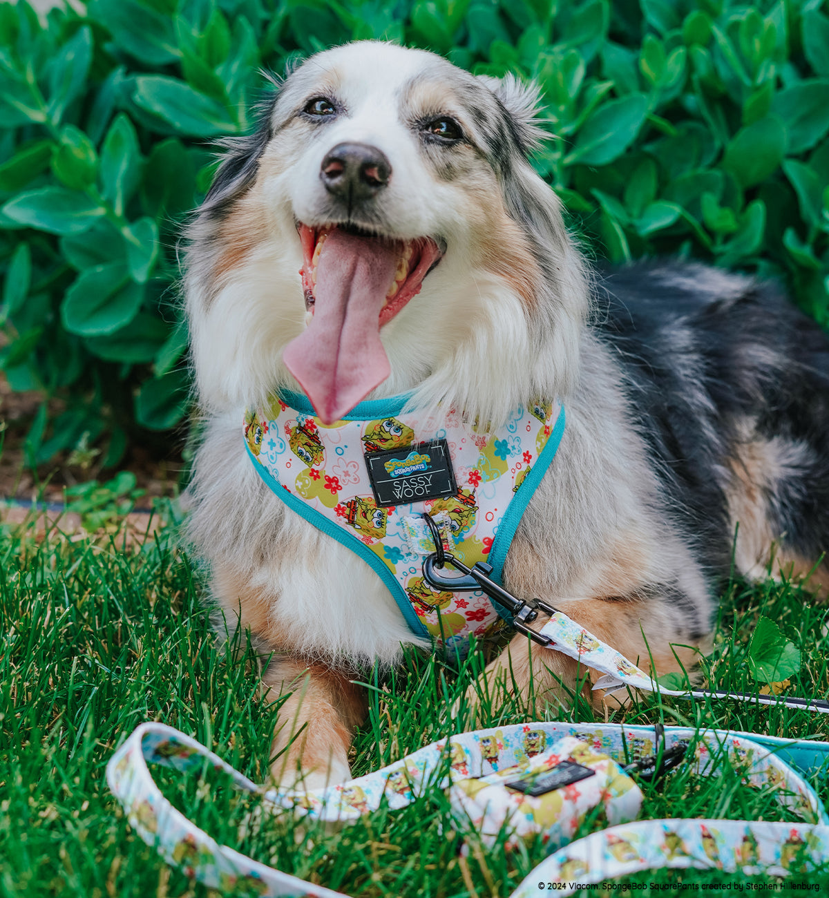 Dog Waste Bag Holder - SpongeBob SquarePants™ Bikini Bottom