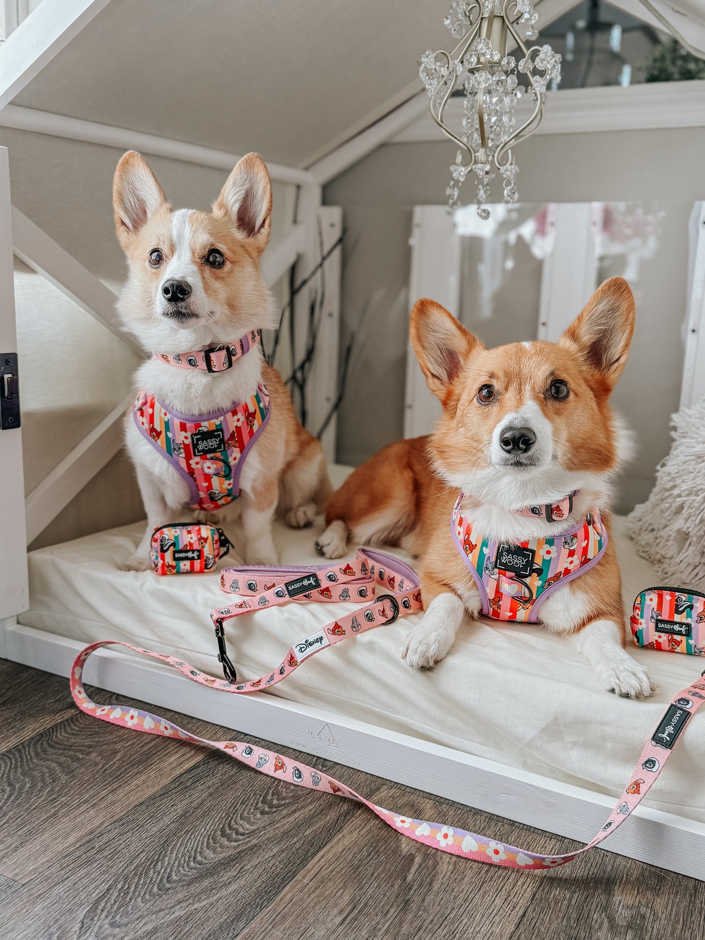Dog Two Piece Bundle - Disney's Bambi