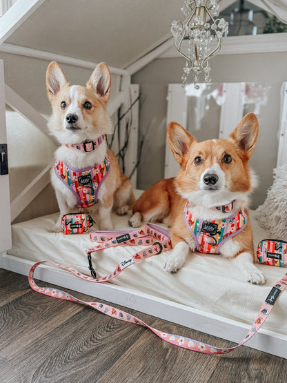 Dog Four Piece Bundle - Disney's Bambi