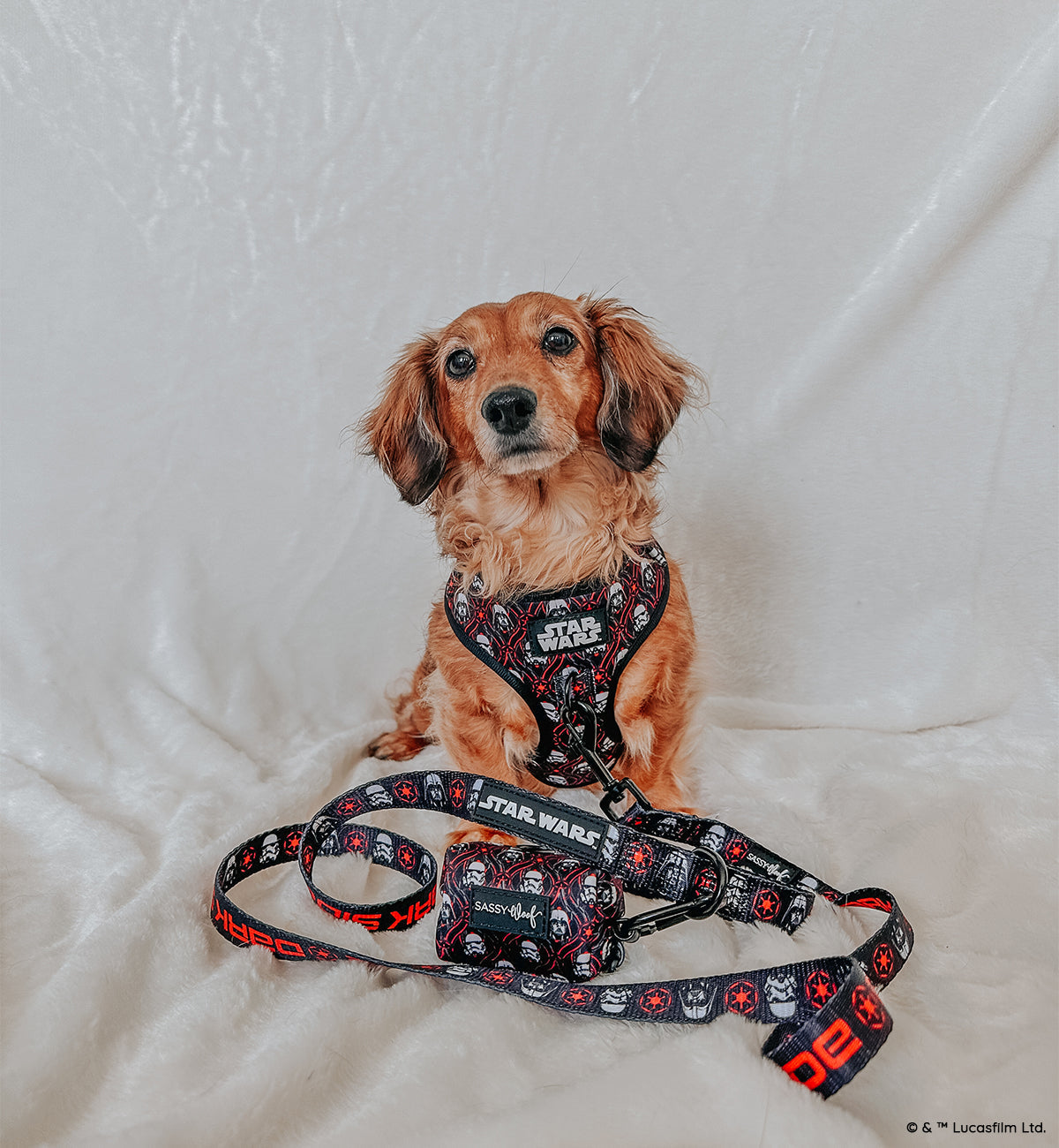 Dog Two Piece Bundle -  STAR WARS™ The Dark Side