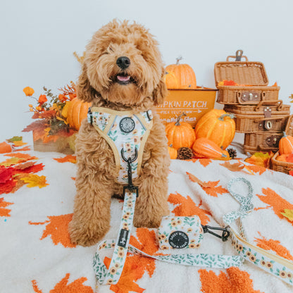 Dog Four Piece Bundle - Sunflower Dreams