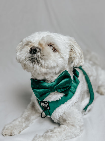 Dog Three Piece Bundle - Nice