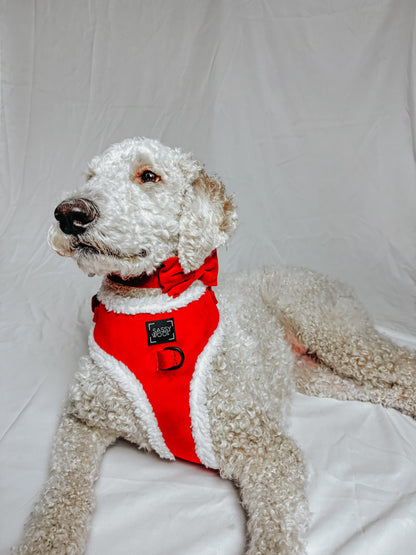 Dog Bowtie - Naughty