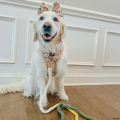 Harness Three Piece Bundle - Disney's Belle