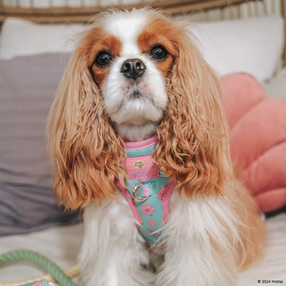 Dog Adjustable Harness - Polly Pocket™