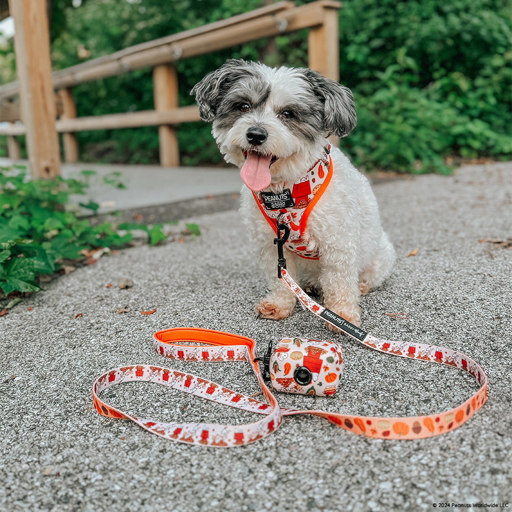 Dog Waste Bag Holder - Peanuts™ Harvest