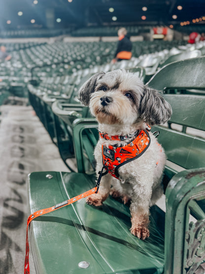 Dog Leash - MLB™ x Peanuts™ Baltimore Orioles™