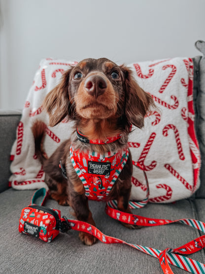 Dog Collar - Peanuts™ Beagle Bells