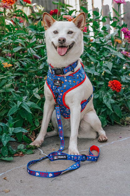 Dog Two Piece Bundle - MLB™ x Peanuts™ Chicago Cubs™