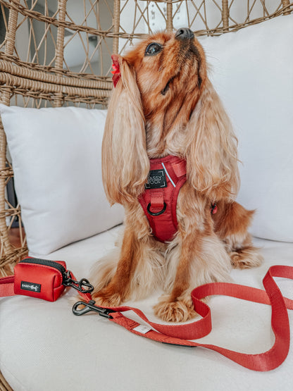 Dog Two Piece Bundle - Burgundy