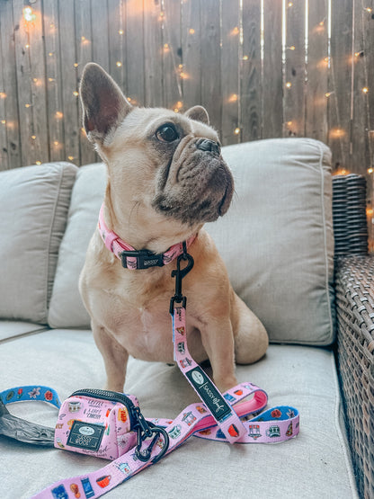 Dog Collar Three Piece Bundle - Gilmore Girls™